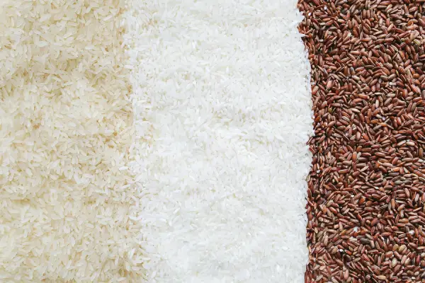 Image of rice varieties